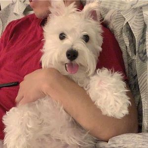 Meet your Posher, Mason